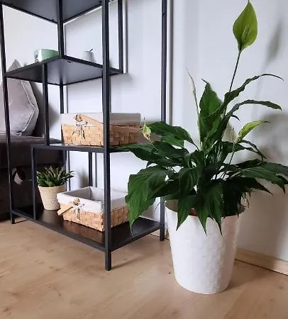 Sa Pogledom Na U Linardicima Apartment